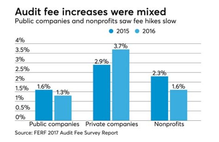 Are audit fees public?