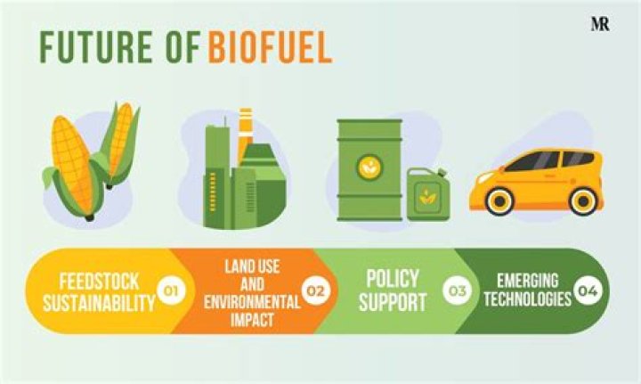 Are biofuels efficient?