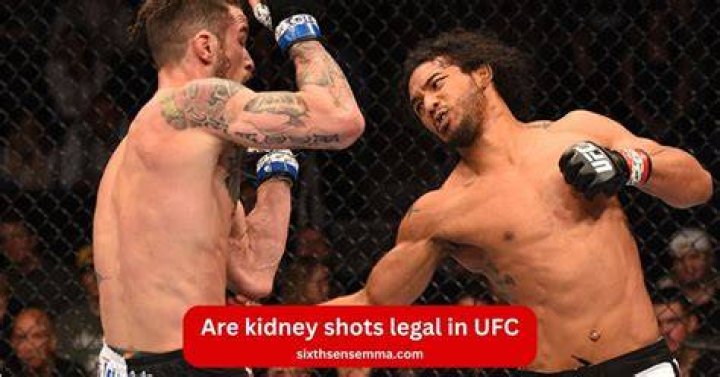 Are kidney punches legal?