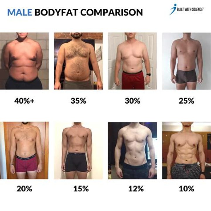 At what bodyfat do abs show?