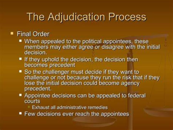Can administrative law decisions be appealed?