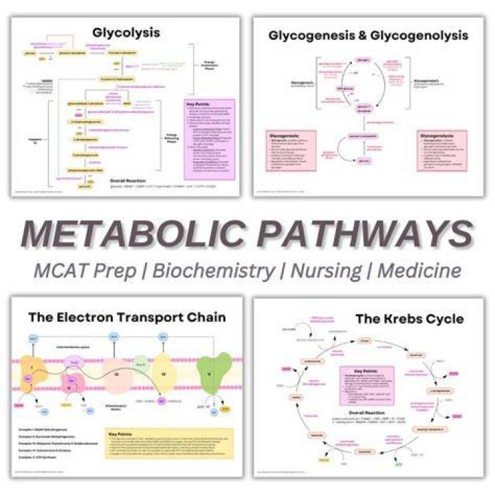Can anyone do well on the MCAT?