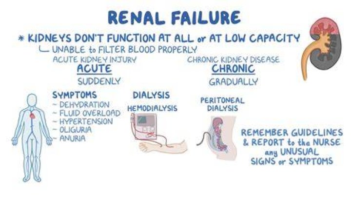 Can Azo cause kidney failure?