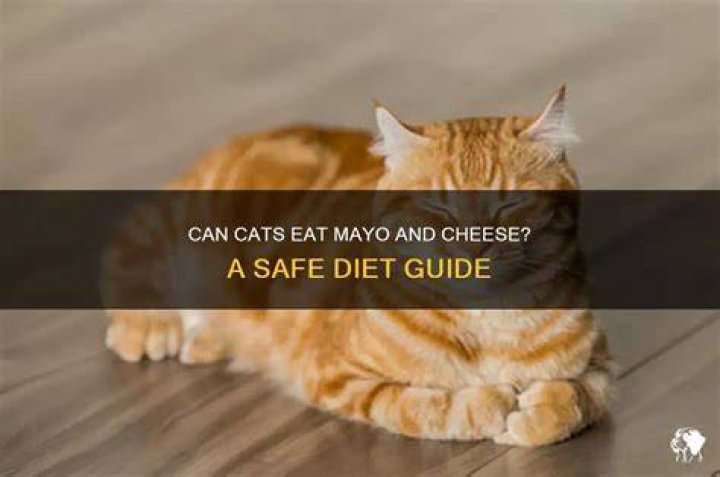 Can cats have mayo?
