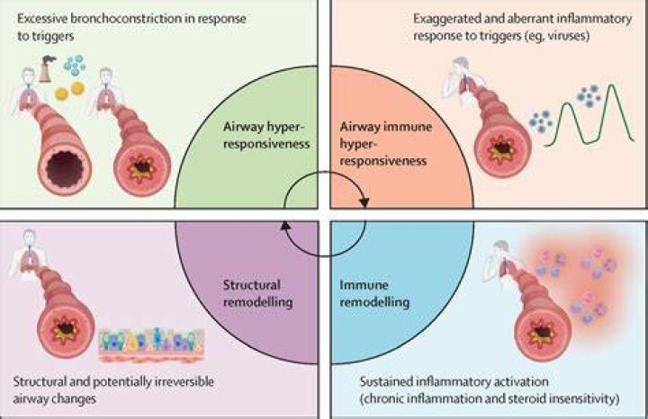 Can CLL go into remission by itself?