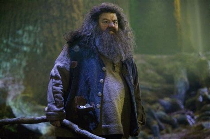 Can Hagrid Apparate?