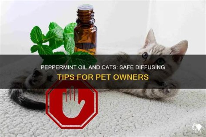 Can I diffuse peppermint around my cat?