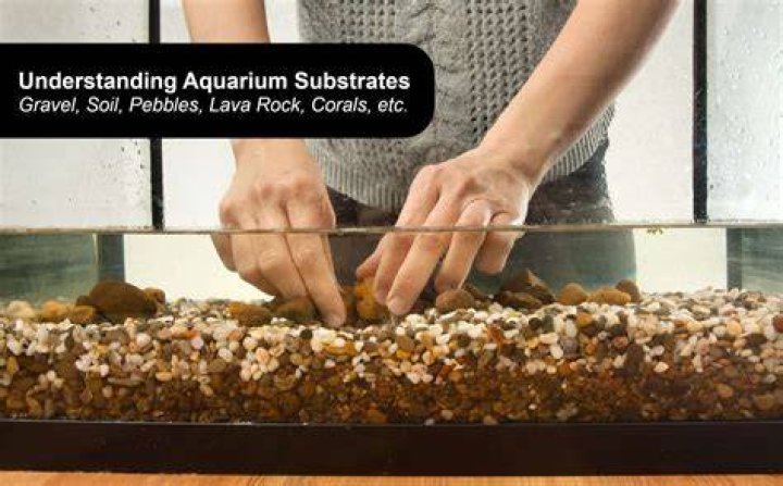 Can I put big rocks in my fish tank?