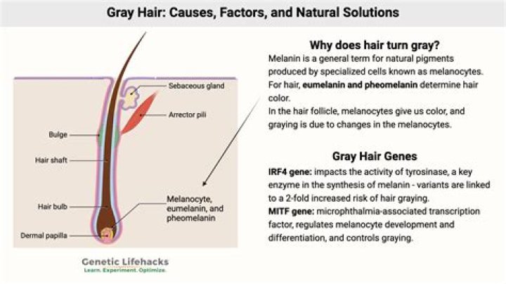 Can less sleep cause grey hair?