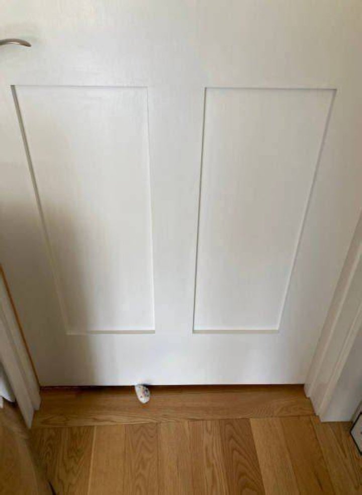 Can mice squeeze under doors?
