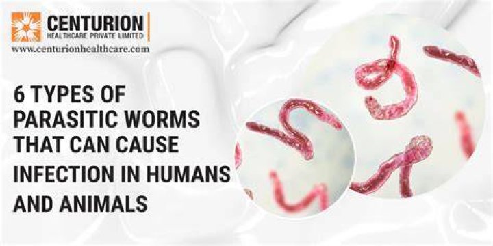 Can parasites mess with your hormones?