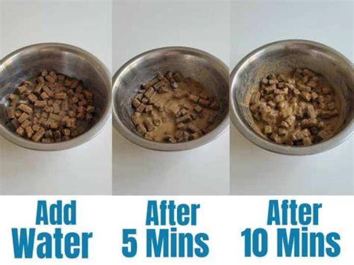 Can you add water to kibbles and bits?