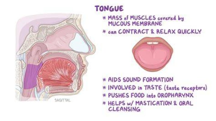 Can you get lie bumps from kissing?