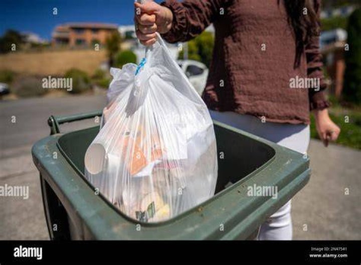 Can you throw slippers in the bin?