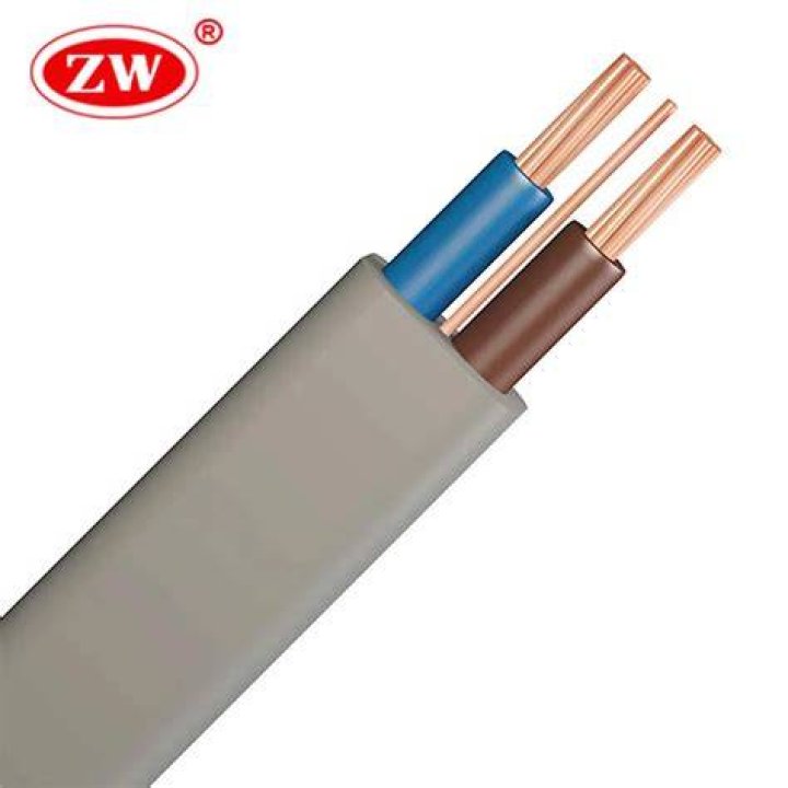 Can you use twin and earth in conduit?