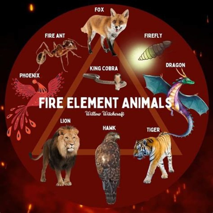 Do any animals create fire?