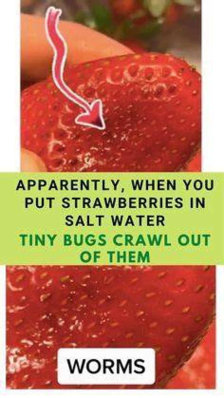 Do bugs come out of strawberry?