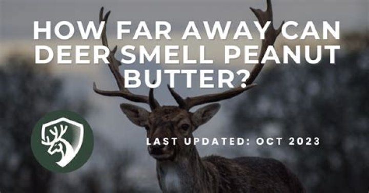 Do deer like the smell of peanut butter?