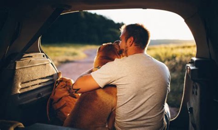 Do dogs like guys better?