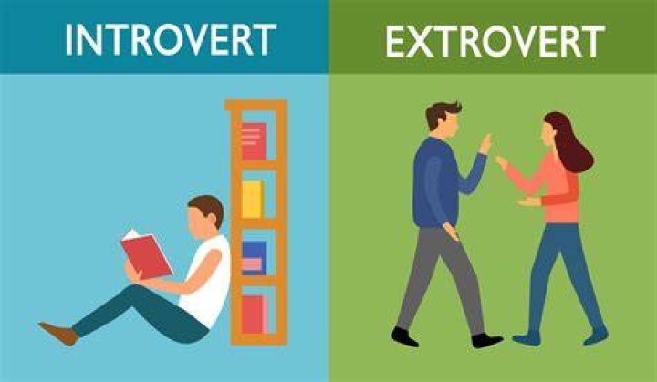 Do introverts like to be in control?
