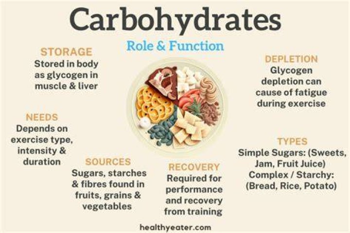 Do our bodies need carbs?
