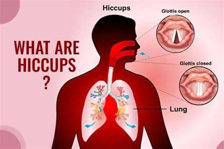 Do we hiccup because we used to be fish?
