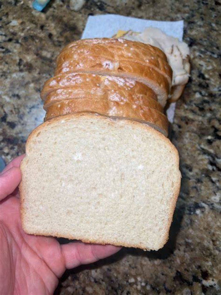 Do worms like moldy bread?