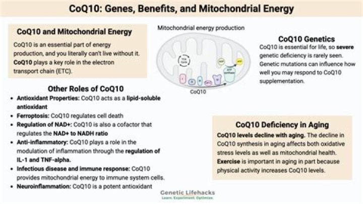 Does coq10 help autoimmune disease?