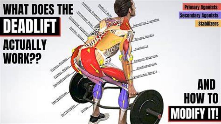 Does deadlift increase forearm size?