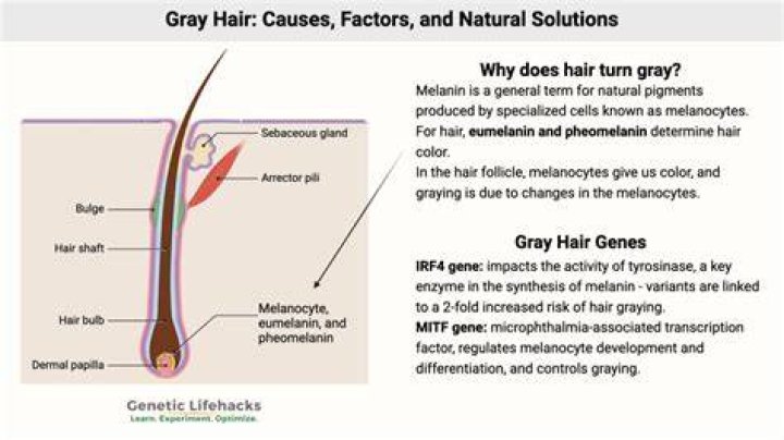 Does hair gel cause GREY hair?
