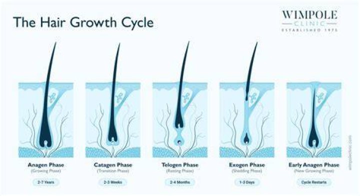 Does the hair on your legs grow faster when you are pregnant?