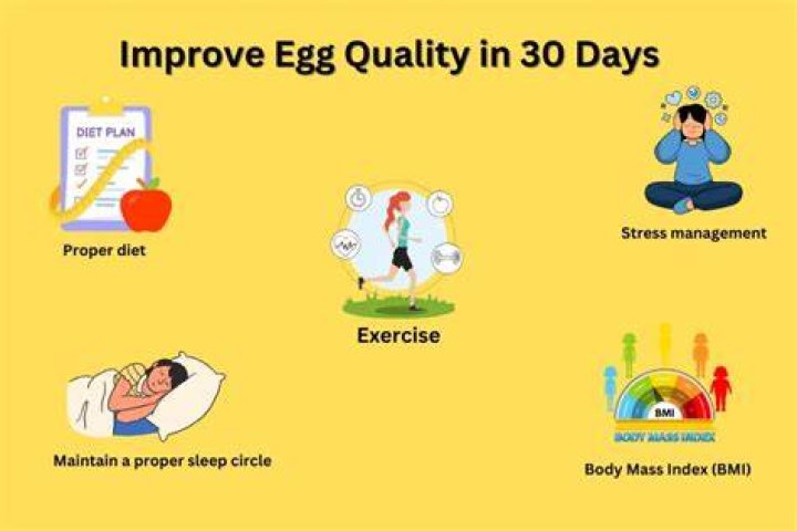 Does walking increase egg quality?