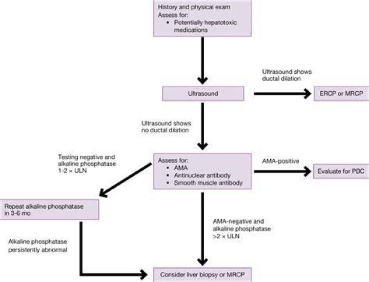 How can I lower my liver alkaline phosphatase?