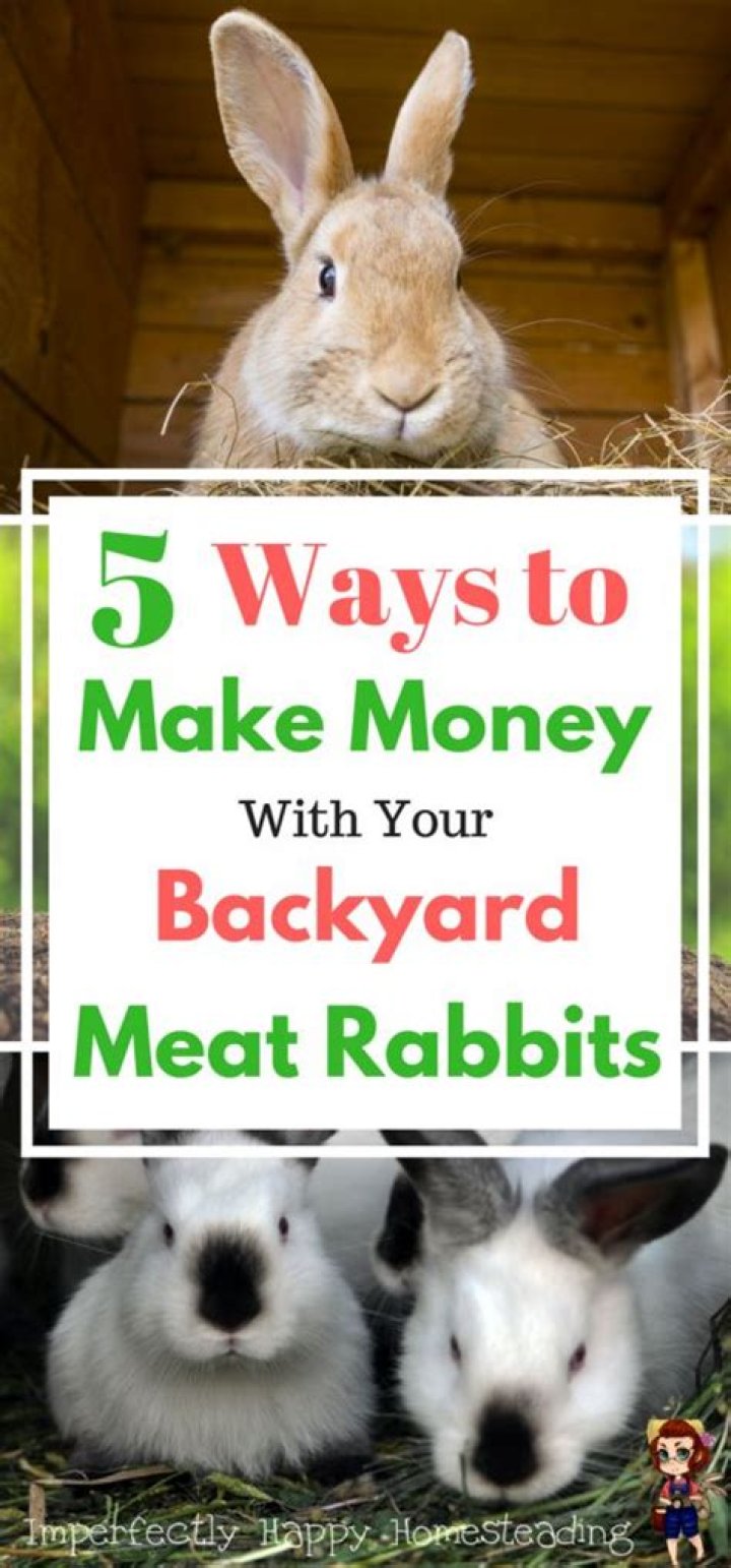 How do backyard farms make money?