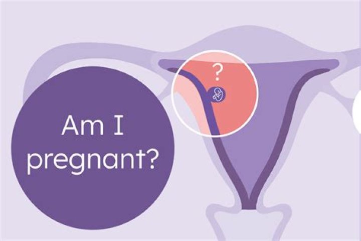 How do I know if Im pregnant or not?