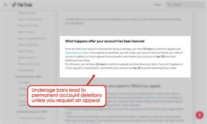 How do you get permanently banned on TikTok?