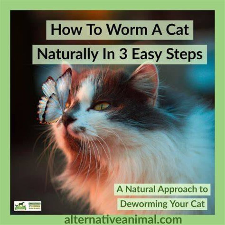 How do you naturally worm a cat?