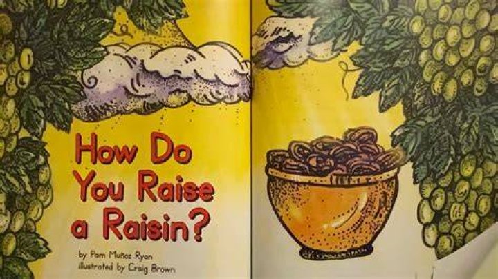 How do you raise a ladybug?