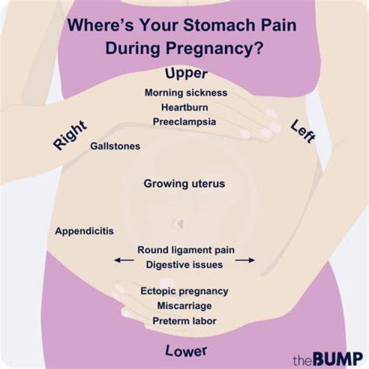 How does your stomach feel pregnant?