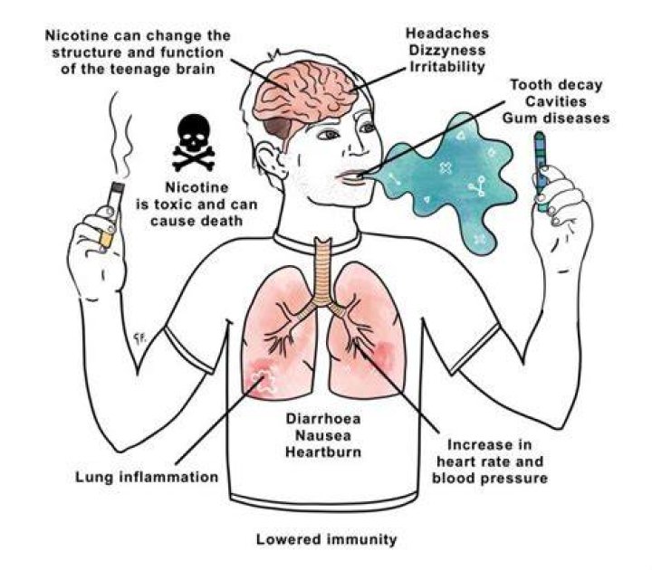 How harmful is cat smoke?