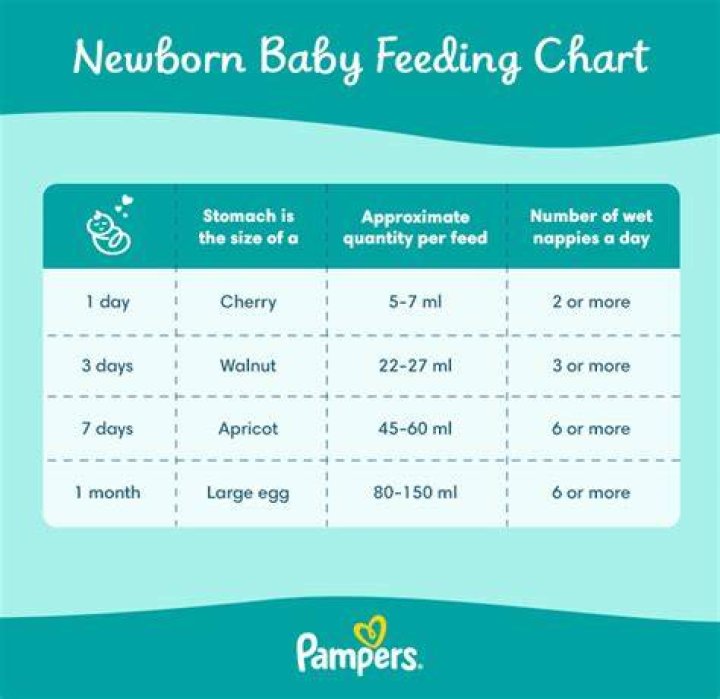 How long should each newborn feed last?