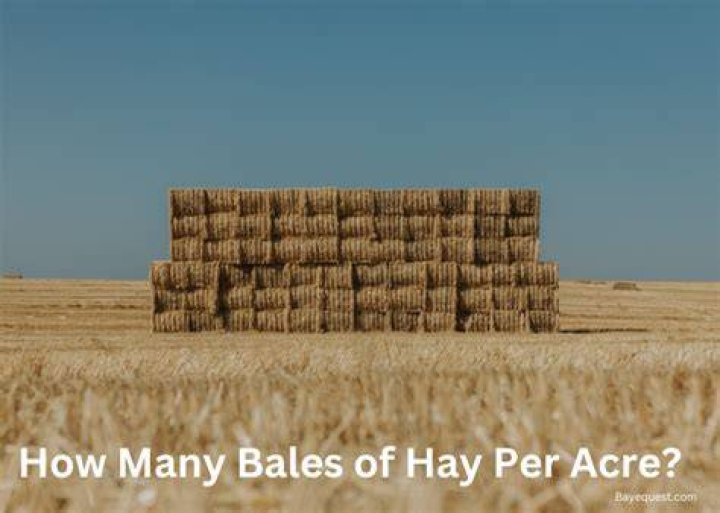 How many bales of hay can you get out of an acre?