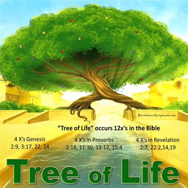 How many branches are on the Tree of Life?