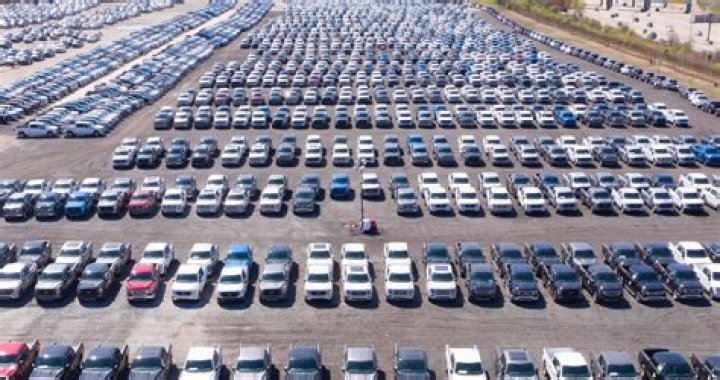 How many Ford vehicles are waiting for chips?