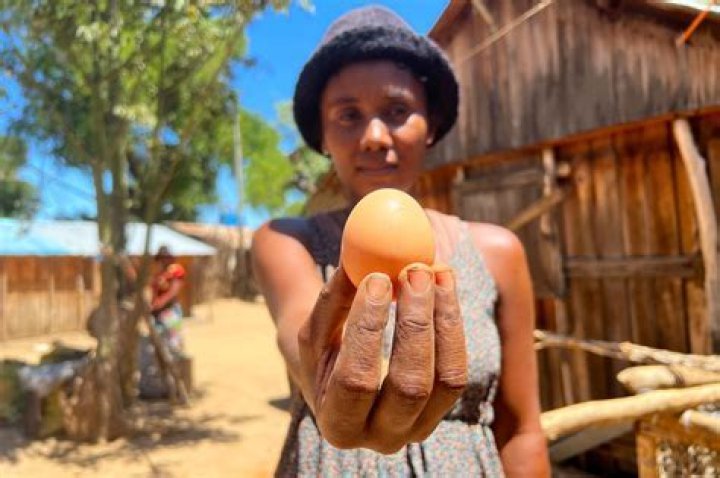 How much can a woman sell her eggs for?