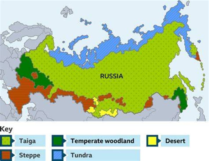 How much of Russia is forest?