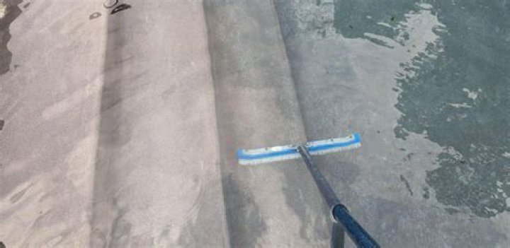 How often should you brush a pool?
