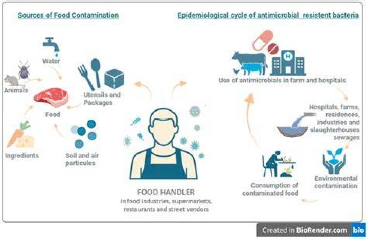 How will you handle an incidence of microbial contamination and microbial spill?