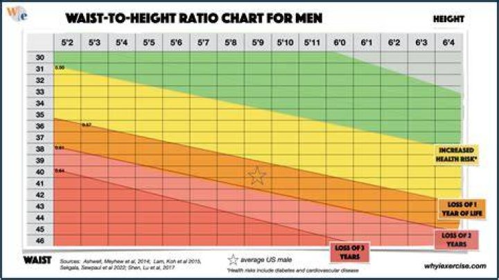 Is 30 inch waist fat for a man?