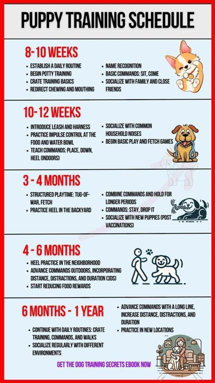 Is 4 months too late to train a puppy?